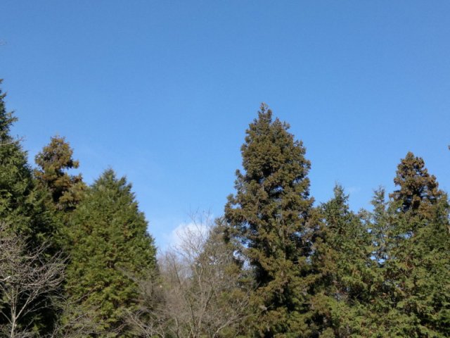 blog_import_4fdd295b3fe4a