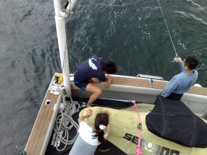 blog_import_4fdd28fad9ce8