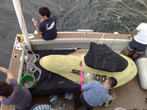 blog_import_4fdd28fb8fd33