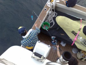 blog_import_4fdd28fc78534