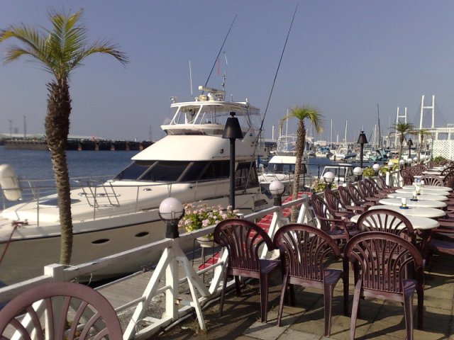 blog_import_4fdd29353a558