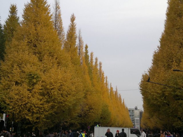 blog_import_4fdd294987f52