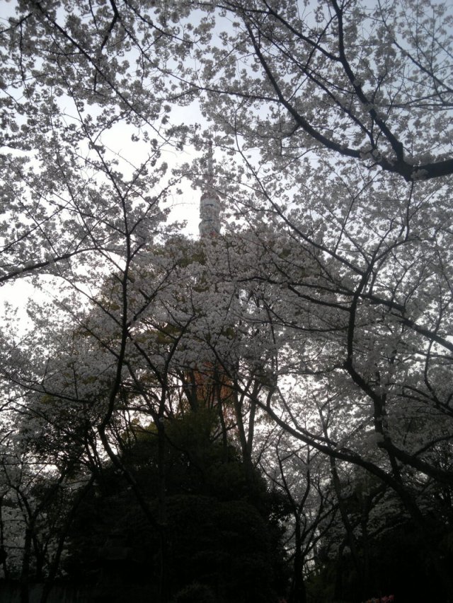 blog_import_4fdd296e4cd79