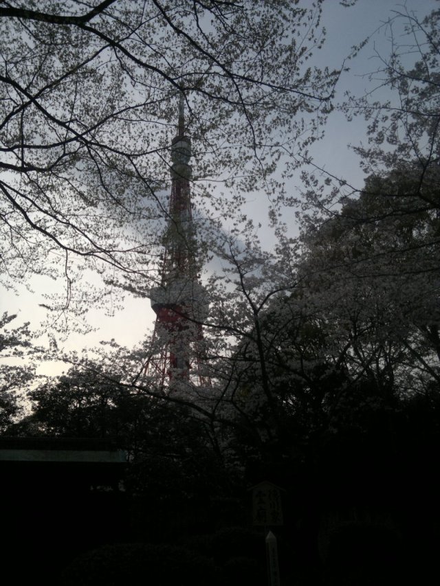 blog_import_4fdd296f6087e