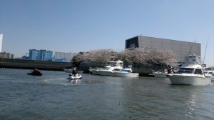 blog_import_50828bb1051af