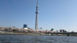 blog_import_50828bb2853f4