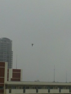 blog_import_51332bb785967