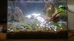 WP_20140202_003